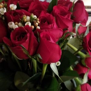 Meet your Posher, Shaunta